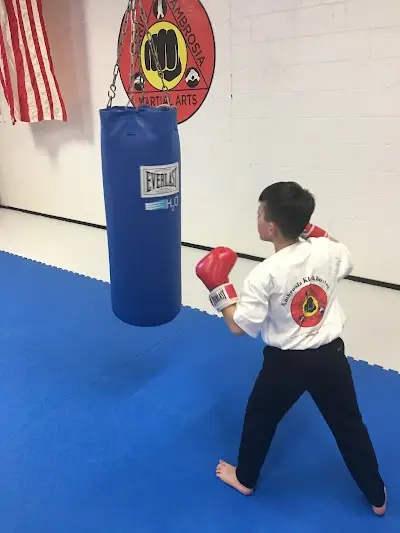Cerio Ambrosia Martial Arts BJJ Academy - photo 2