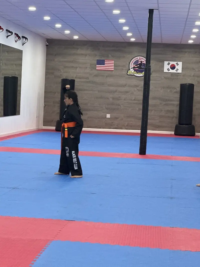 Champions Martial Arts Ridgewood
