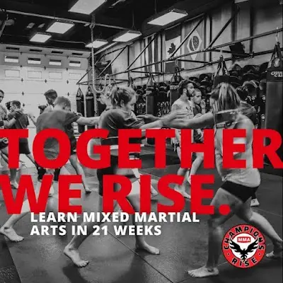 Champions Rise MMA Training Program BJJ Academy - photo 3