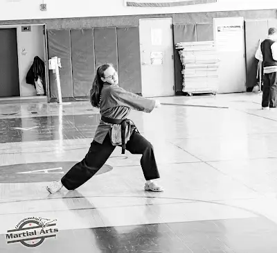 Championship Martial Arts 716 BJJ Academy - photo 4