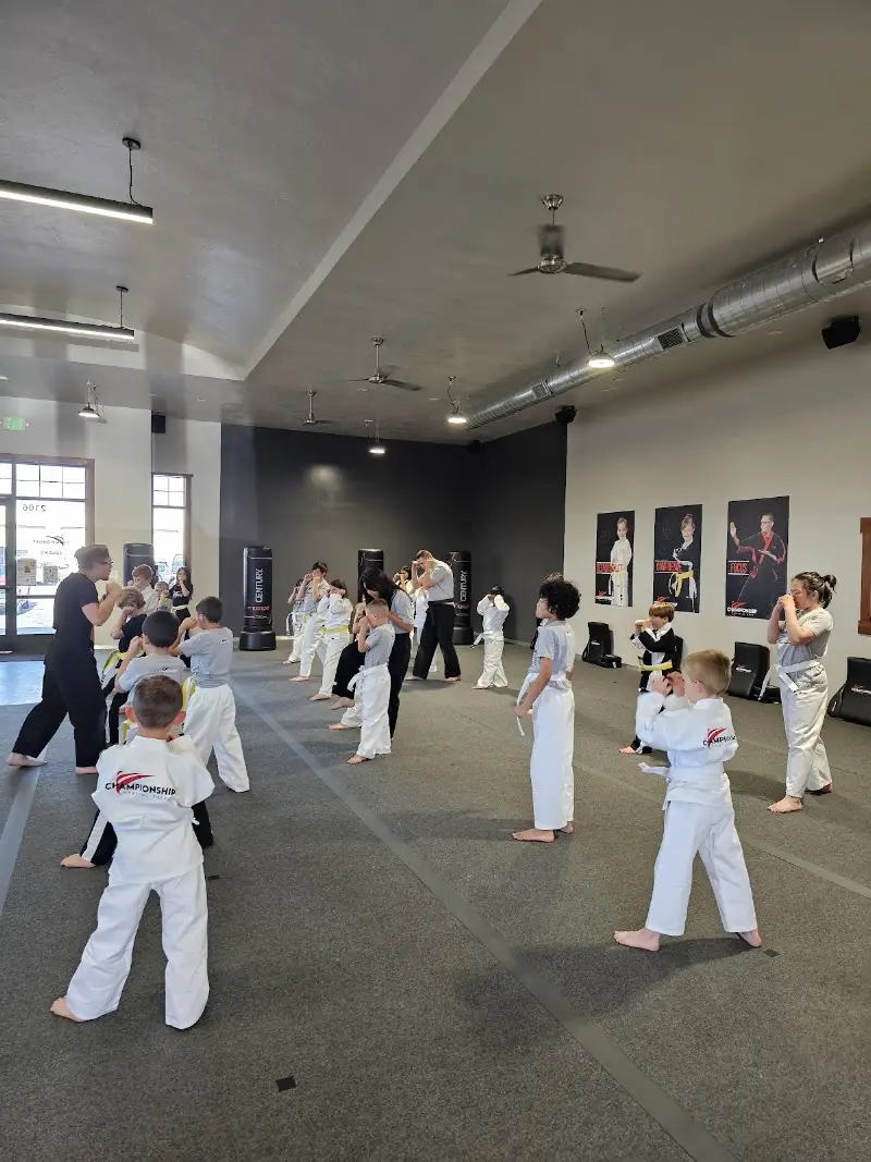Championship Martial Arts