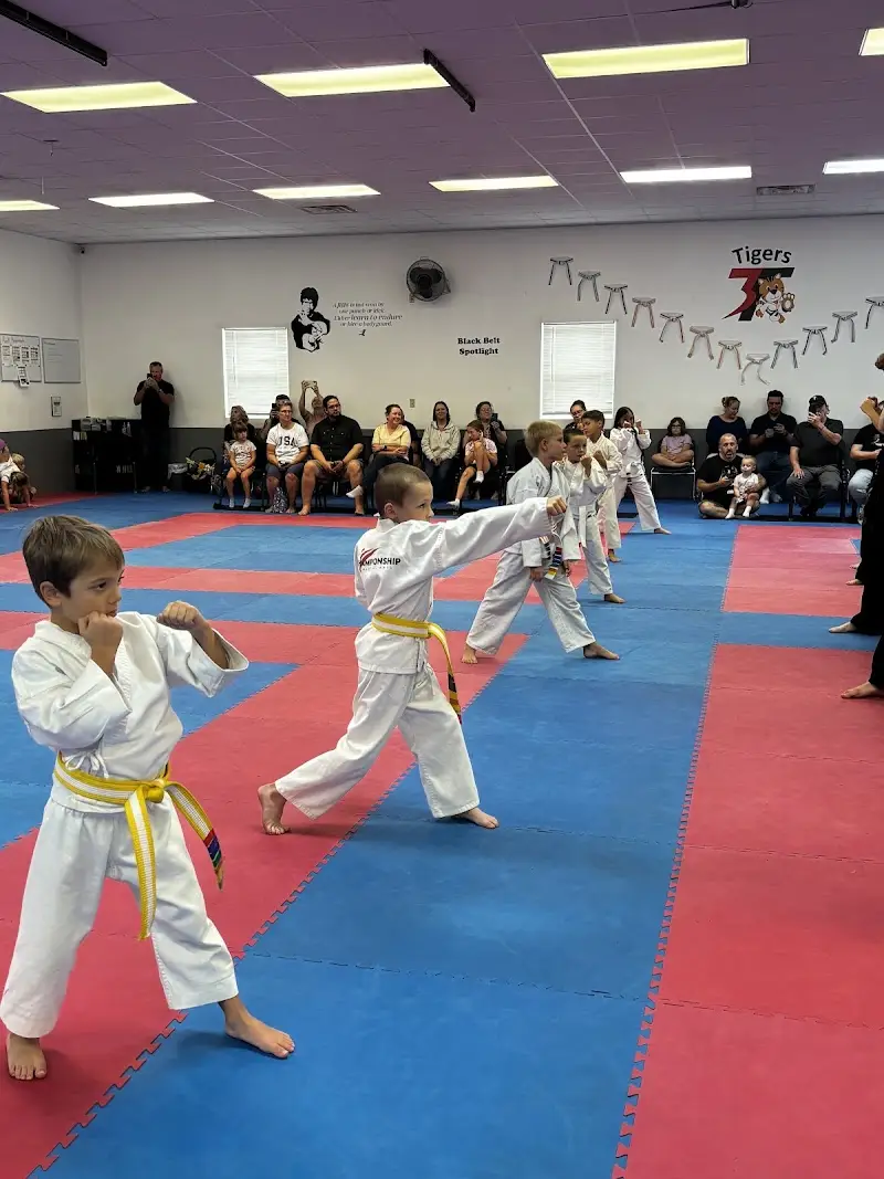 Championship Martial Arts - Columbia