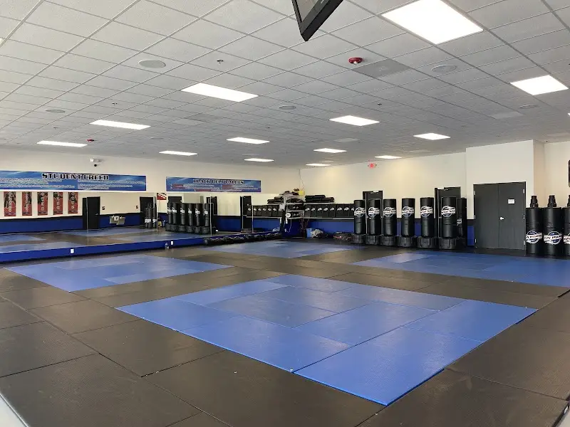 Championship Martial Arts- Mcdonough