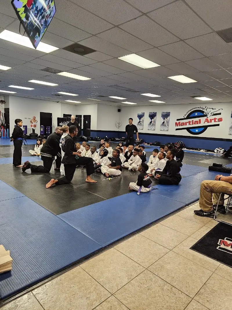 Championship Martial Arts - Stockbridge