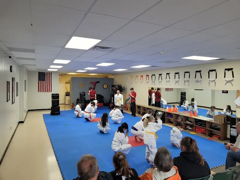 Championship Martial Arts - Swansea