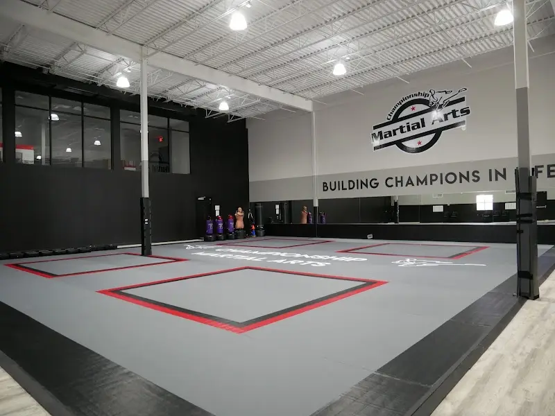 Championship Martial Arts - World Training Center