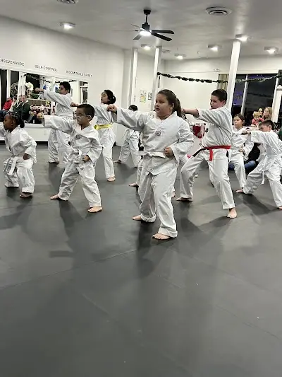 ChampYon 2 Taekwondo and Martial Arts BJJ Academy - photo 1