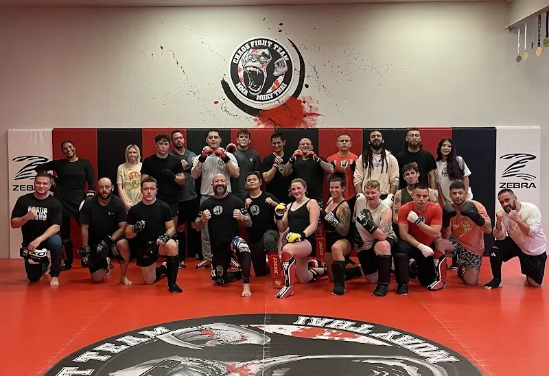 Chaos Fight Team