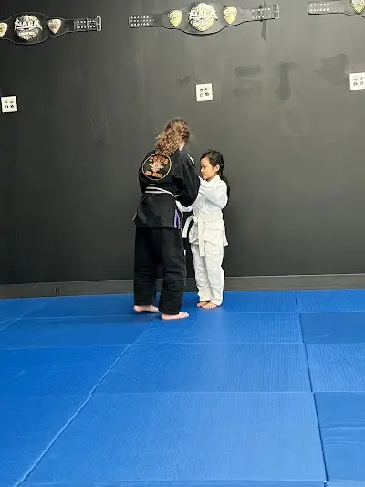 Chaos Jiu jitsu BJJ Academy - photo 1