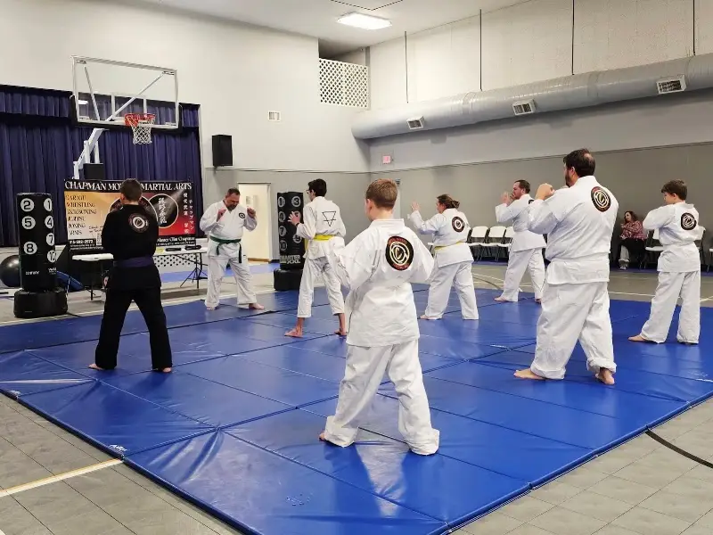 Chapman Modern Martial Arts Academy
