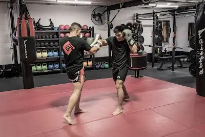 Chau Kaizen BJJ Academy - photo 3