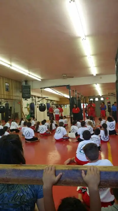 Chavez Martial Arts Academy BJJ Academy - photo 2