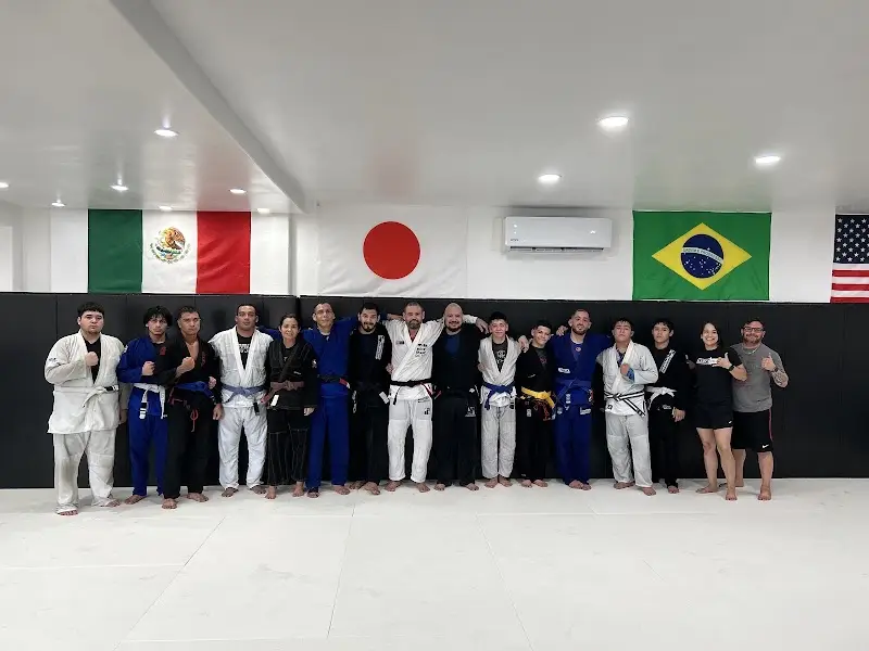 Checkmat BTX
