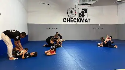Checkmat Riverview Brazilian Jiu-Jitsu (BJJ) Adults and Kids Martial Arts BJJ Academy - photo 2