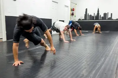 Chicago School Of Grappling BJJ Academy - photo 2