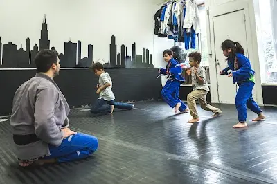 Chicago School Of Grappling BJJ Academy - photo 4