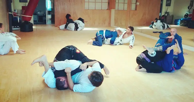 Cho's Academy - Martial Arts & Self Defense BJJ Academy - photo 2