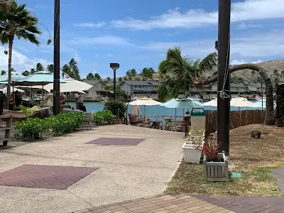 CJJF Hawaii Kai BJJ Academy - photo 3