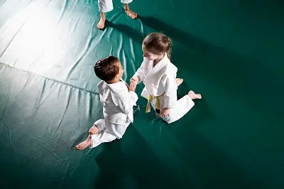 Clare Jiu Jitsu Academy, Martial Arts & Fitness