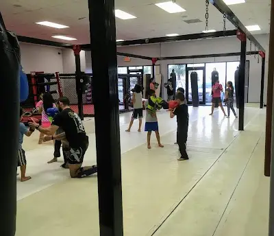 Cobra Kai Martial Arts BJJ Academy - photo 3