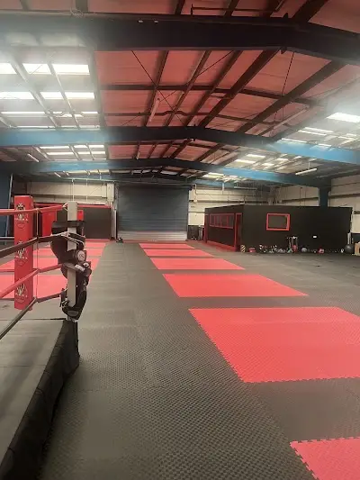 Cobra Muay Thai BJJ Academy - photo 1