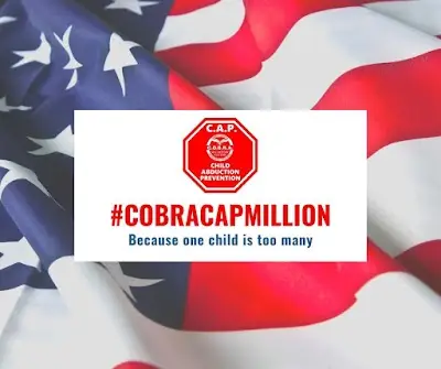 COBRA Self Defense Canton BJJ Academy - photo 4