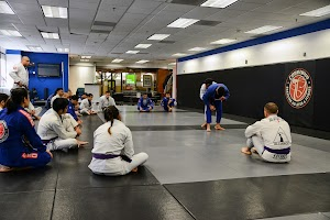 Inside Cobrinha Brazilian Jiu-Jitsu & Fitness academy