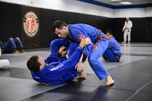 Inside Cobrinha Brazilian Jiu-Jitsu & Fitness academy