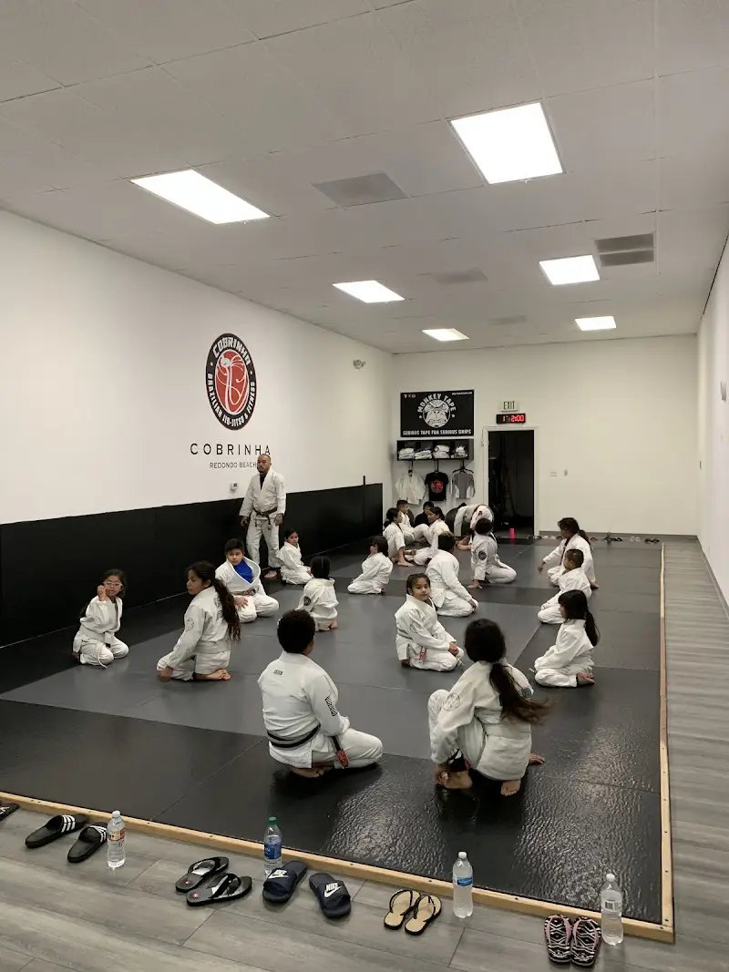 Cobrinha Brazilian Jiu Jitsu Redondo Beach BJJ Academy - photo 2