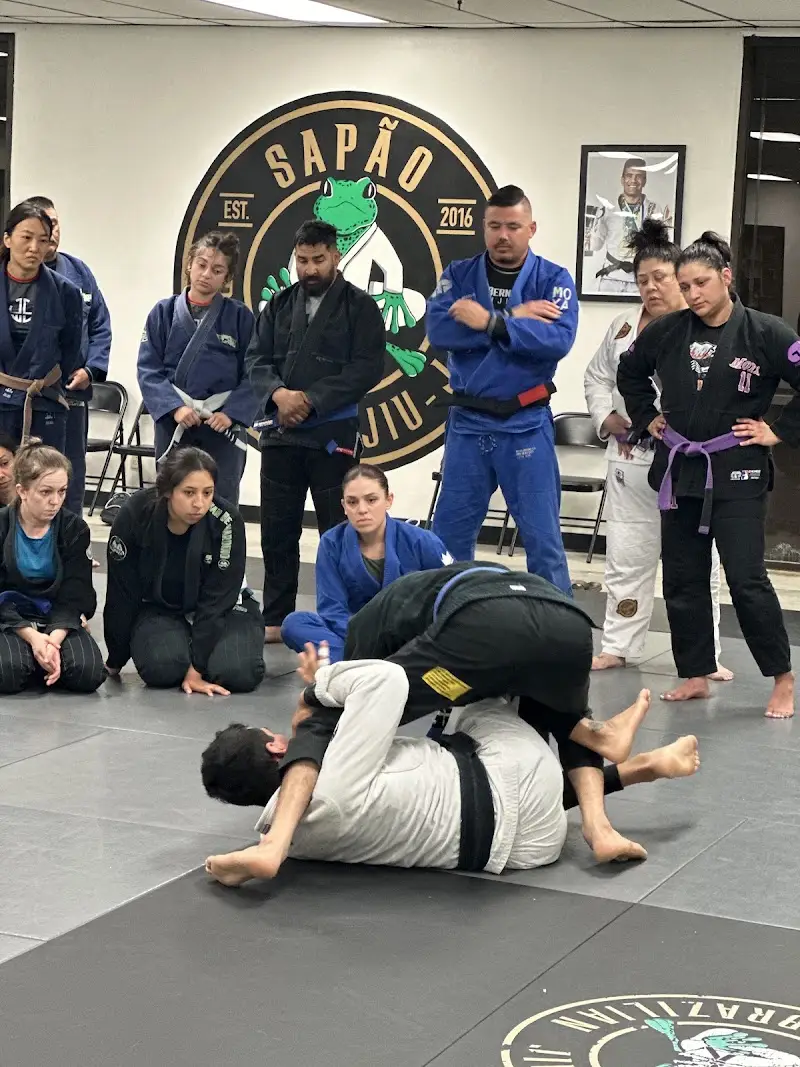 Cobrinha Brazillian Jiu-Jitsu Academy (San Bernardino, California)