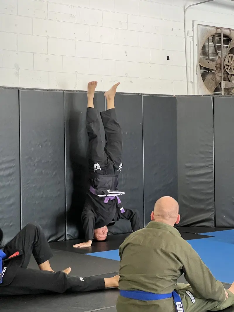 Cogito Jiu Jitsu BJJ Academy - photo 2