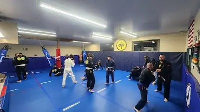 Combat Sports Center BJJ Academy - photo 1