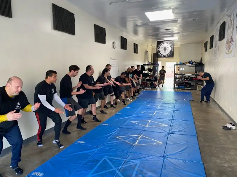 Combatives Academy BJJ Academy - photo 2