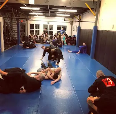 Complete Fitness and Martial Arts BJJ Academy - photo 1