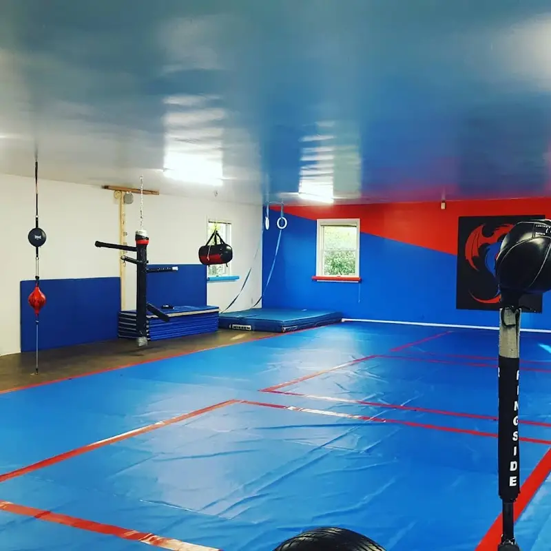 Complete Martial Arts Club of Hershey BJJ Academy - photo 2