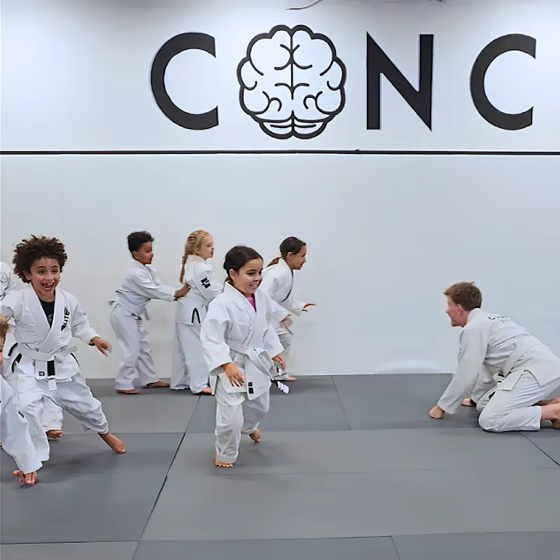 Concept Jiu-Jitsu of Clearwater BJJ Academy - photo 2