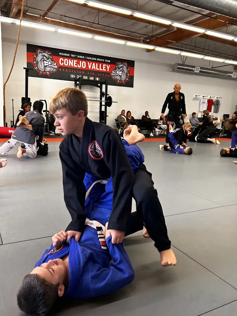 Conejo Valley Brazilian Jiu-Jitsu BJJ Academy - photo 1