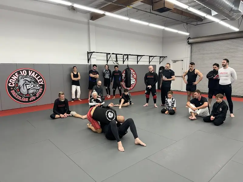 Conejo Valley Brazilian Jiu-Jitsu BJJ Academy - photo 2