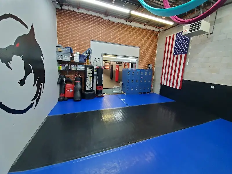 Conquest Martial Arts BJJ Academy - photo 2