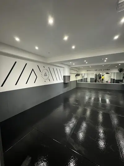 Consistency Brazilian Jiu Jitsu BJJ Academy - photo 4