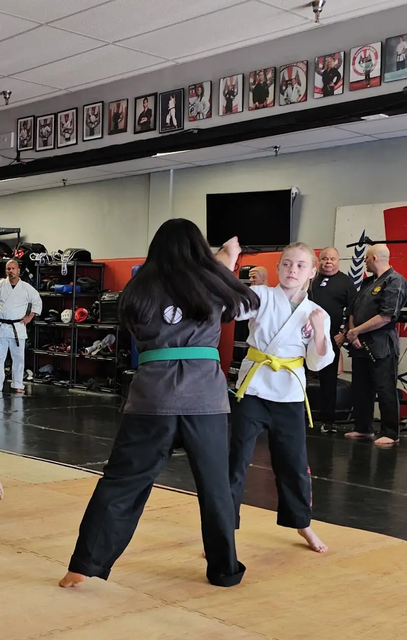 Cooperative Spirit Martial Arts Academy BJJ Academy - photo 1