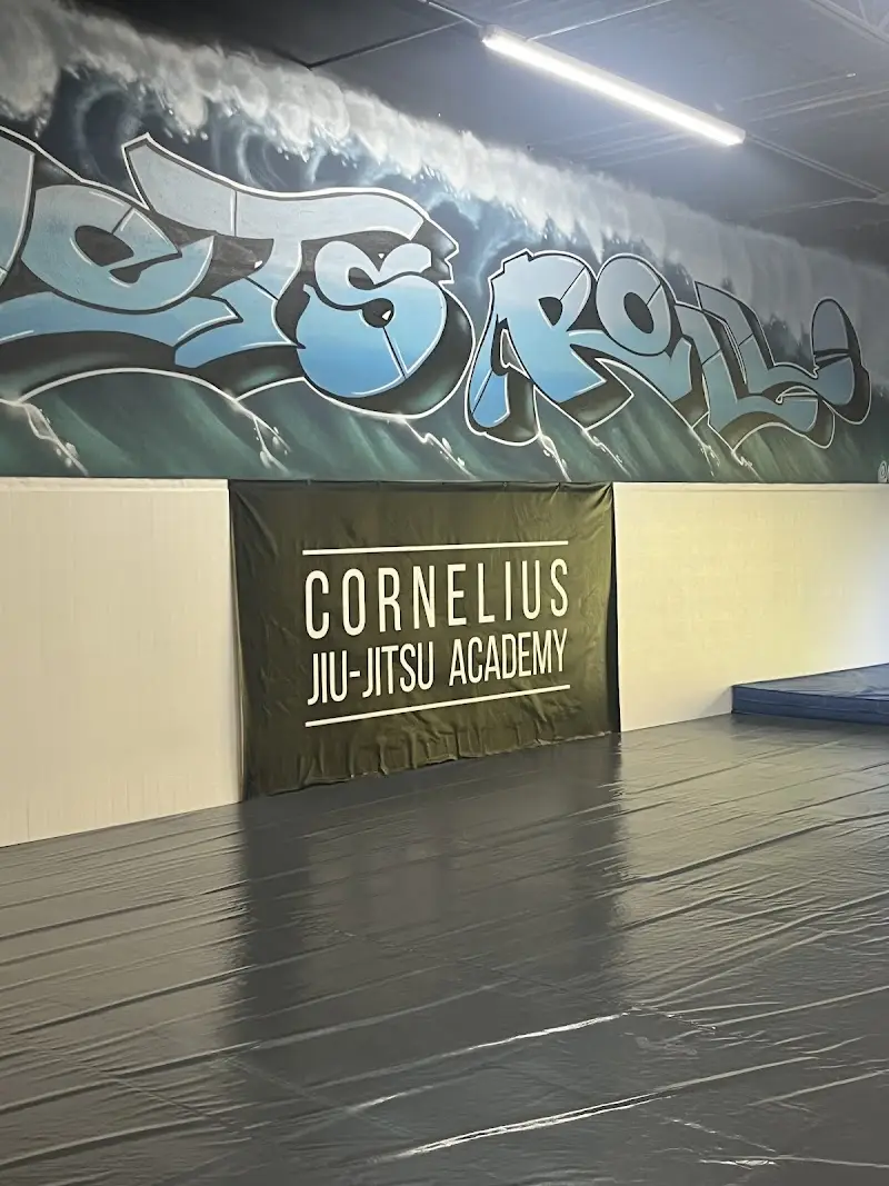 Cornelius Jiu-Jitsu Academy BJJ Academy - photo 1