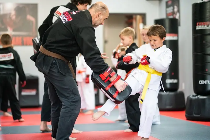 Cosens Martial Arts Lapeer, LLC BJJ Academy - photo 1