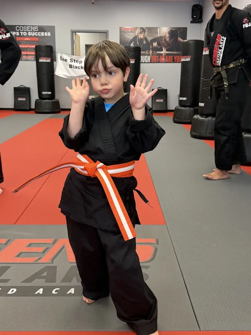 Cosens Martial Arts Lapeer, LLC BJJ Academy - photo 2