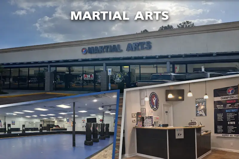 Cox Martial Arts Conroe - Taekwondo & Jiu-Jitsu BJJ Academy - photo 2