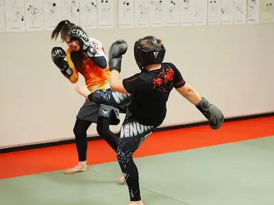 Creston Jiu-Jitsu BJJ Academy - photo 1