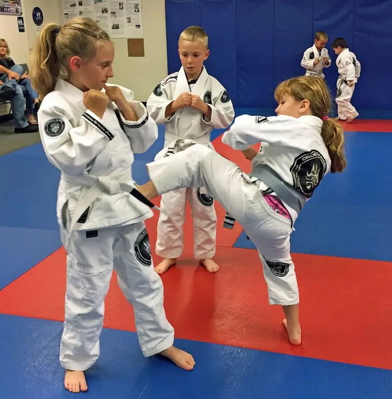 Crosley Gracie Jiu-Jitsu BJJ Academy - photo 1