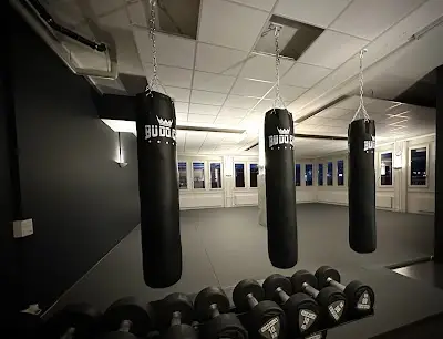 Crossfight BJJ & MMA