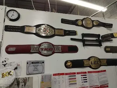 Crow Training Center Montreal BJJ Academy - photo 2