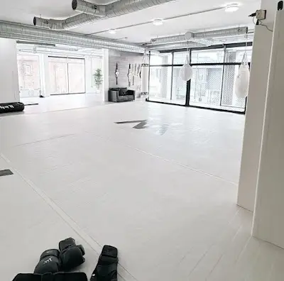 Croydon Martial Arts Academy BJJ Academy - photo 2